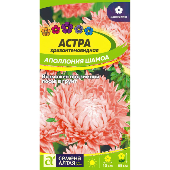 Астра Аполлония Шамоа [Семена алтая] купить с доставкой