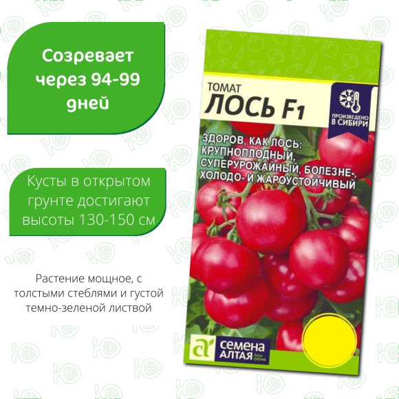 Томат Лось [Семена алтая] купить с доставкой