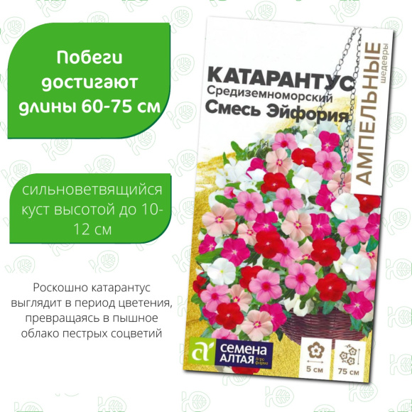 Катарантус Средиземноморский Смесь Эйфория [Семена алтая] купить с доставкой