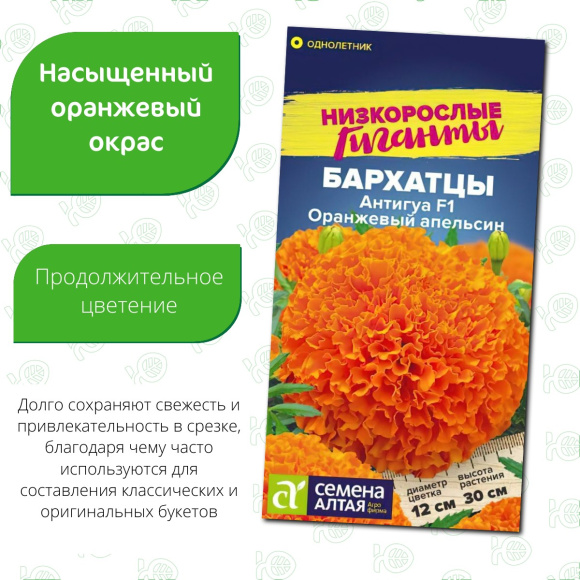 Бархатцы Антигуа Оранжевый апельсин [Семена алтая] купить с доставкой