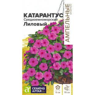 Катарантус Средиземноморский Лиловый [Семена алтая]