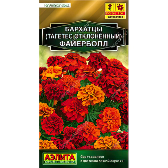 Бархатцы Файерболл отклоненные [Аэлита] купить с доставкой