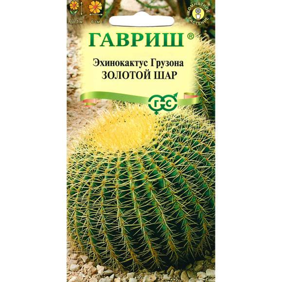 Кактус Эхинокактус Грузона Золотой шар [Гавриш] купить с доставкой