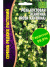 Роза кустовая Ксантина [Семена редких растений] купить с доставкой