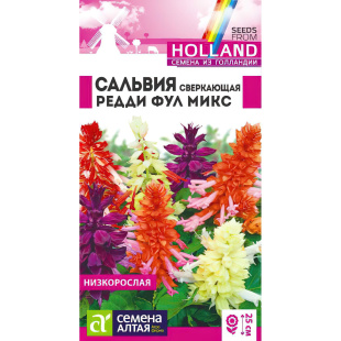 Сальвия Редди Фулл микс сверкающая [Семена алтая]
