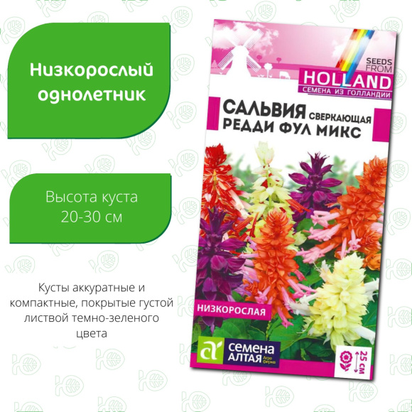 Сальвия Редди Фулл микс сверкающая [Семена алтая] купить с доставкой