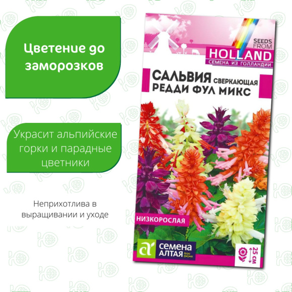 Сальвия Редди Фулл микс сверкающая [Семена алтая] купить с доставкой
