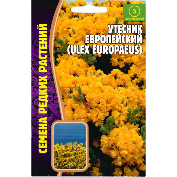 Утесник Европейский [Семена редких растений] купить с доставкой