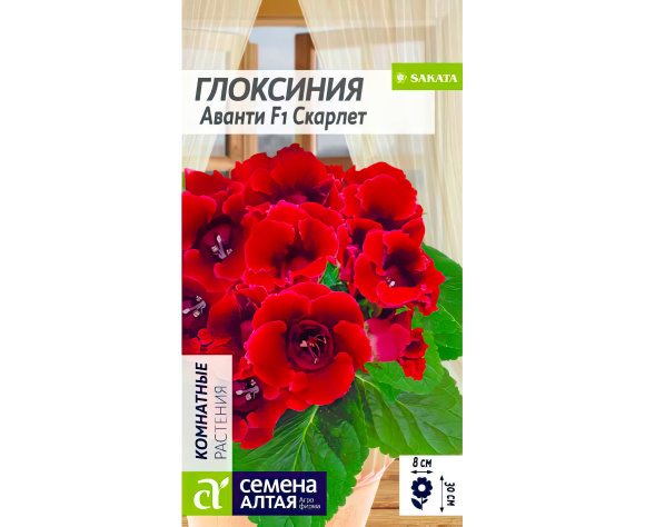 Глоксиния Аванти Скарлет [Семена алтая] купить с доставкой