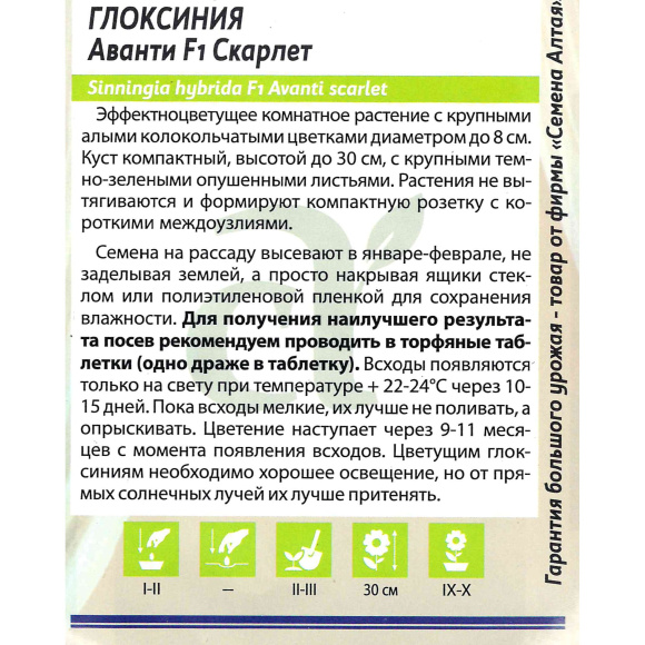 Глоксиния Аванти Скарлет [Семена алтая] купить с доставкой