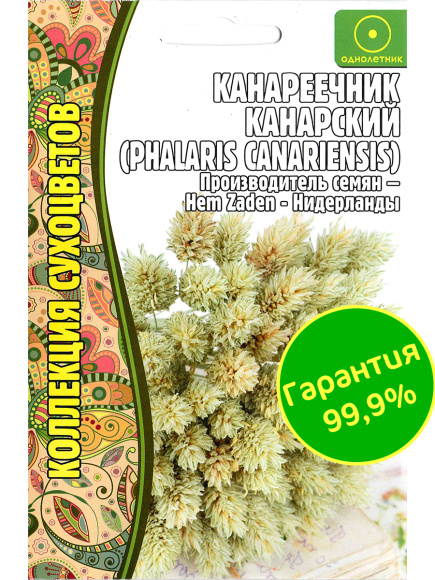 Канареечник Канарский [Семена редких растений] купить с доставкой