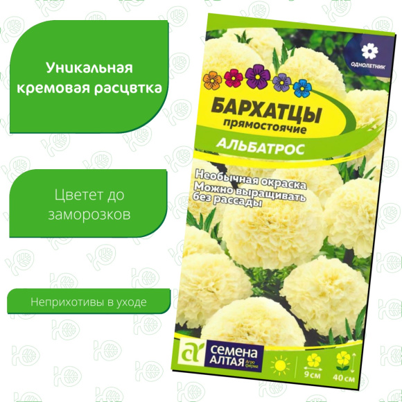Бархатцы Альбатрос [Семена алтая] купить с доставкой