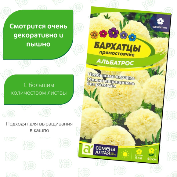 Бархатцы Альбатрос [Семена алтая] купить с доставкой