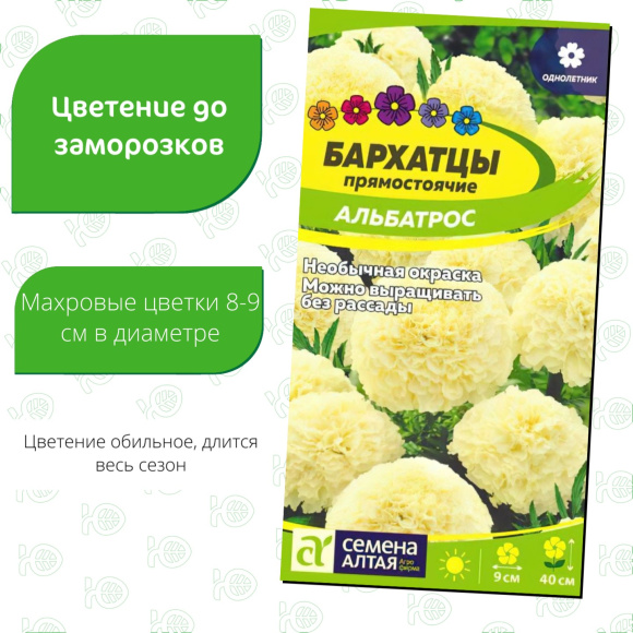 Бархатцы Альбатрос [Семена алтая] купить с доставкой