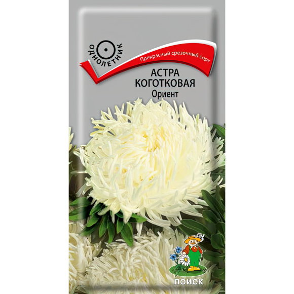 Астра коготковая Ориент [Поиск] купить с доставкой