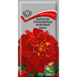 Бархатцы отклоненные махровые Кармен [Поиск]