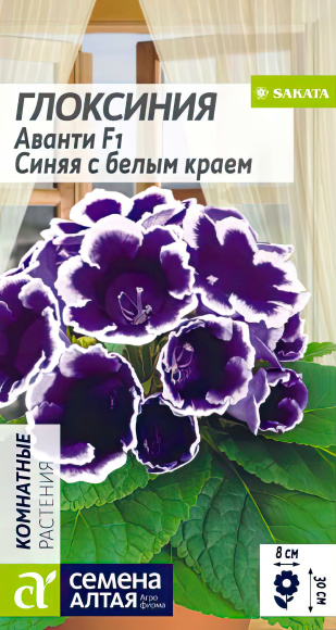 Глоксиния Аванти Синяя с белым краем [Семена алтая] купить с доставкой