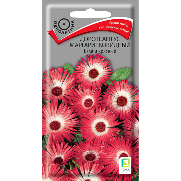Доротеантус маргаритковидный Бэмби красный [Поиск] купить с доставкой