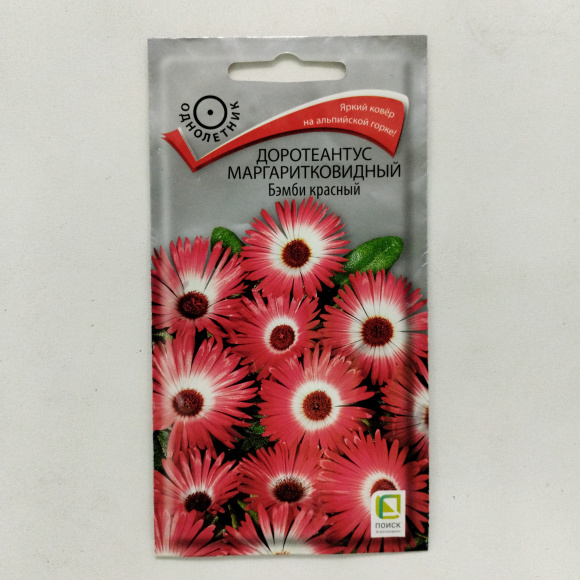 Доротеантус маргаритковидный Бэмби красный [Поиск] купить с доставкой