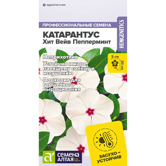 Катарантус Хит Вейв Пепперминт [Семена алтая] купить с доставкой