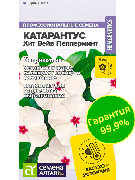 Катарантус Хит Вейв Пепперминт [Семена алтая] купить с доставкой
