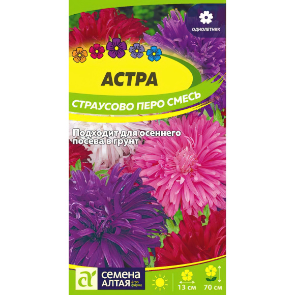 Астра Страусово Перо Смесь окрасок [Семена алтая] купить с доставкой