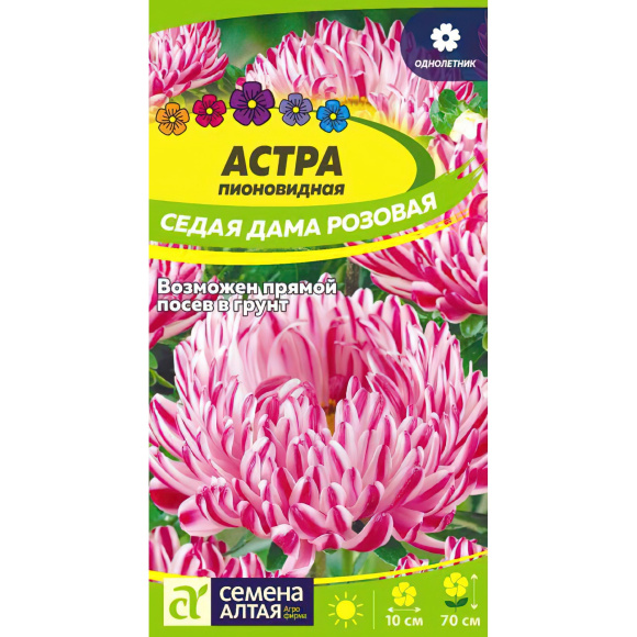 Астра Седая Дама Розовая [Семена алтая] купить с доставкой