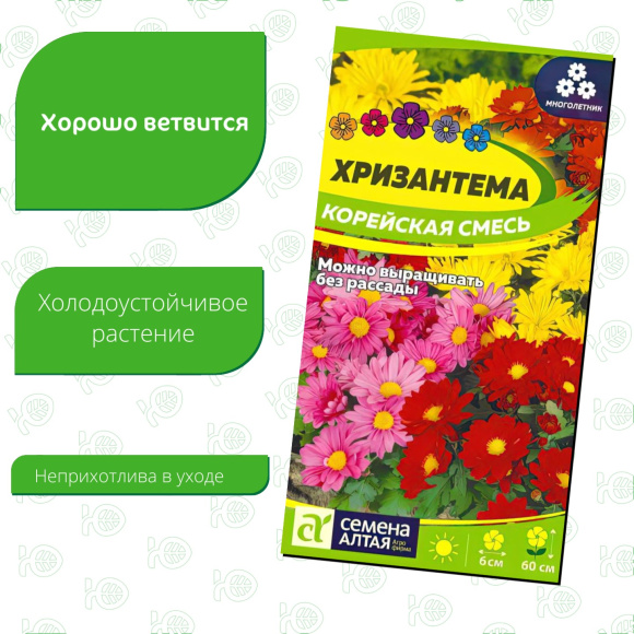 Хризантема Корейская смесь [Семена алтая] купить с доставкой