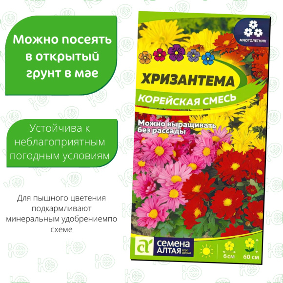 Хризантема Корейская смесь [Семена алтая] купить с доставкой