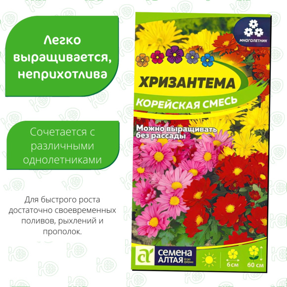Хризантема Корейская смесь [Семена алтая] купить с доставкой