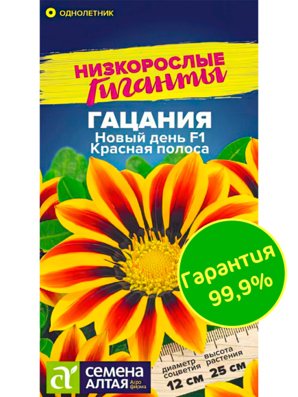 Гацания Новый день Красная полоса [Семена алтая] купить с доставкой