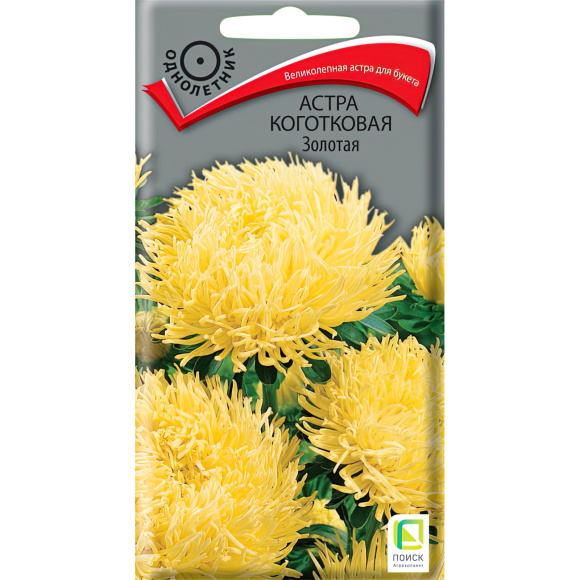 Астра коготковая Золотая [Поиск] купить с доставкой