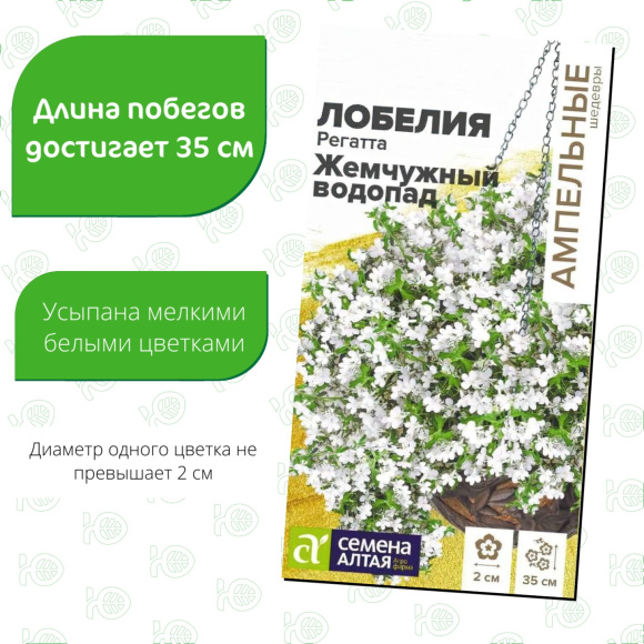 Лобелия Регатта Жемчужный Водопад ампельная [Семена алтая] купить с доставкой