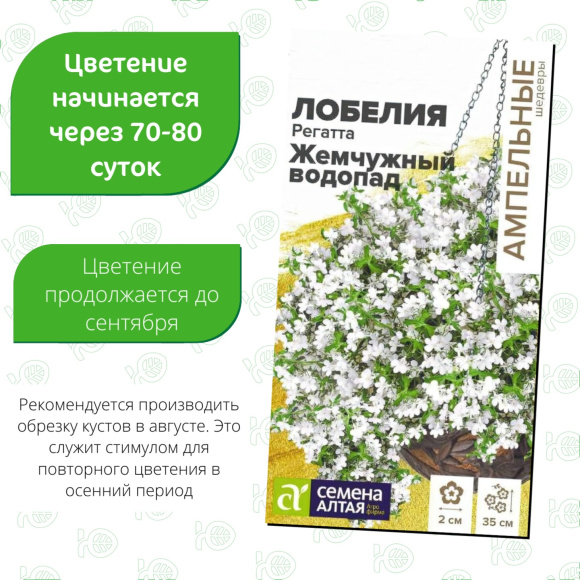 Лобелия Регатта Жемчужный Водопад ампельная [Семена алтая] купить с доставкой