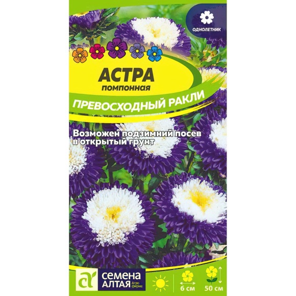 Астра Превосходный Ракли помпонная [Семена алтая] купить с доставкой