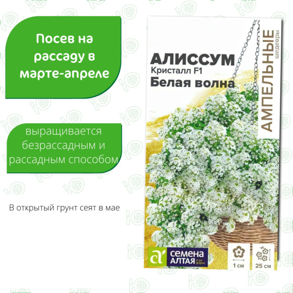 Алиссум Кристалл Белая Волна ампельный [Семена алтая] купить с доставкой