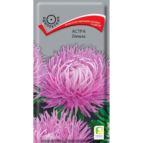 Астра Оленька [Поиск] купить с доставкой