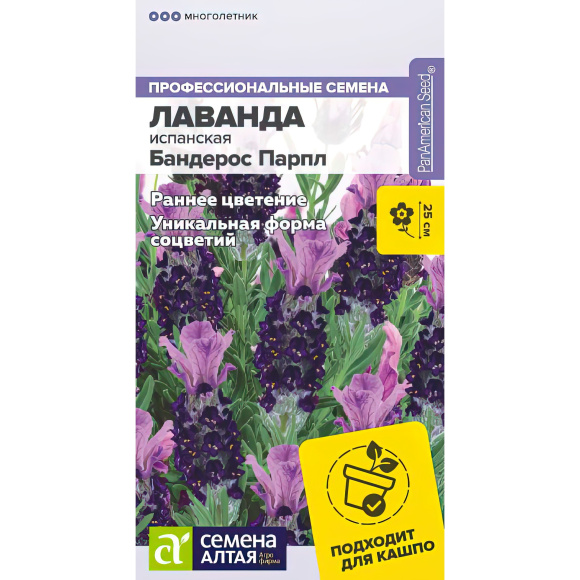 Лаванда Бандерос Парпл испанская [Семена алтая] купить с доставкой
