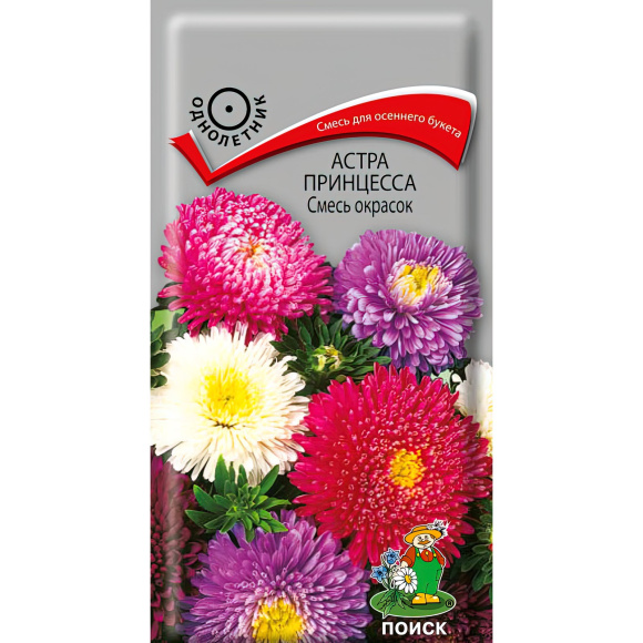 Астра принцесса Смесь окрасок [Поиск] купить с доставкой