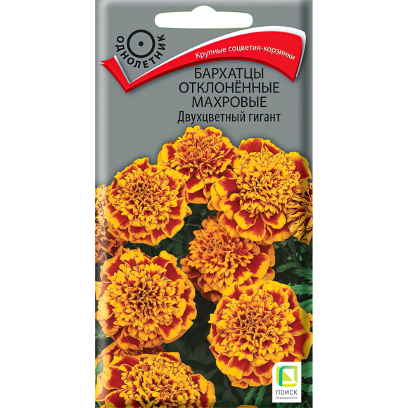 Бархатцы отклоненные махровые Двухцветный гигант [Поиск] купить с доставкой