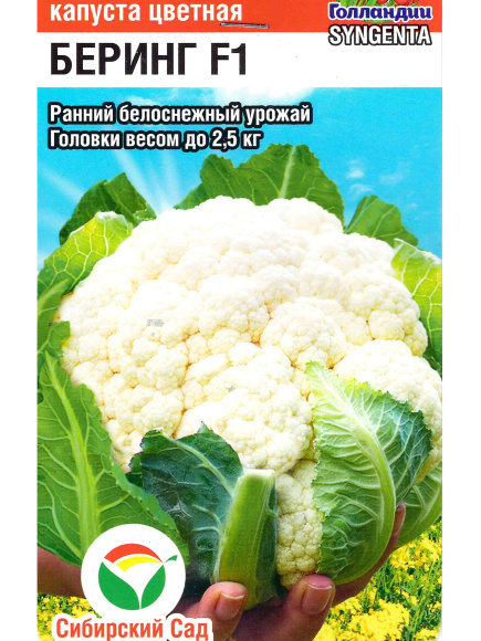 Капуста цветная Беринг [Сибирский сад] купить с доставкой