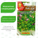 Салат Бэби Пак чой смесь [Аэлита] купить с доставкой