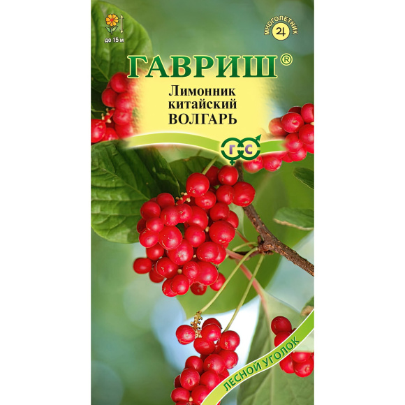 Лимонник Волгарь китайский [Гавриш] купить с доставкой