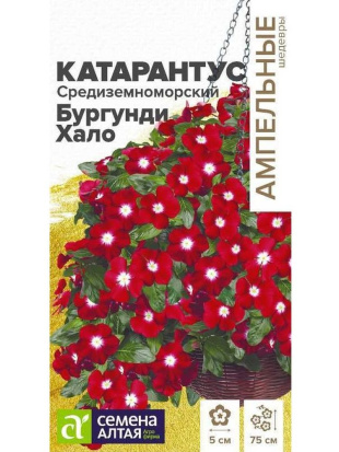 Катарантус Средиземноморский Бургунди Хало [Семена алтая]