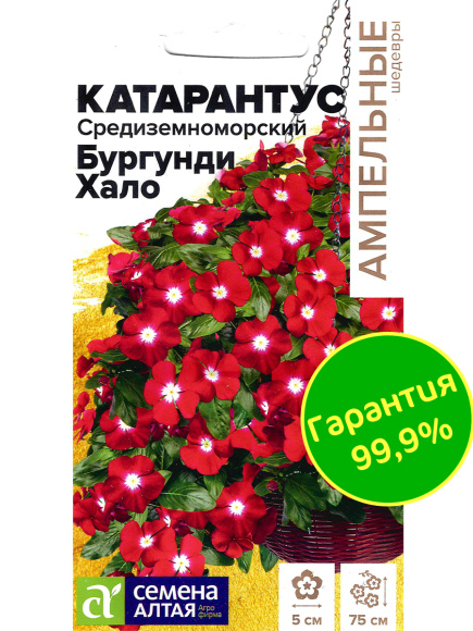 Катарантус Средиземноморский Бургунди Хало [Семена алтая] купить с доставкой