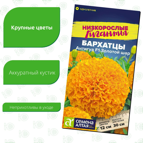 Бархатцы Антигуа Золотой шар [Семена алтая] купить с доставкой