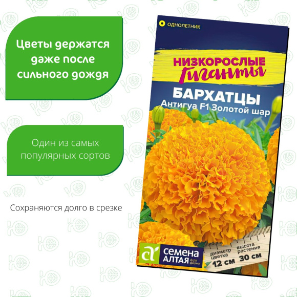 Бархатцы Антигуа Золотой шар [Семена алтая] купить с доставкой