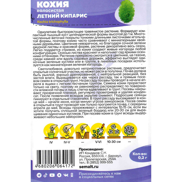 Кохия Летний Кипарис [Семена алтая] купить с доставкой