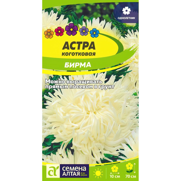 Астра Бирма коготковая [Семена алтая] купить с доставкой