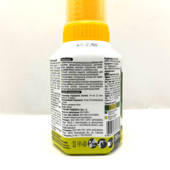 Декоративнолистные растения 0,25 л [JOY] купить с доставкой